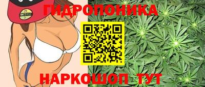 дживик Заволжье