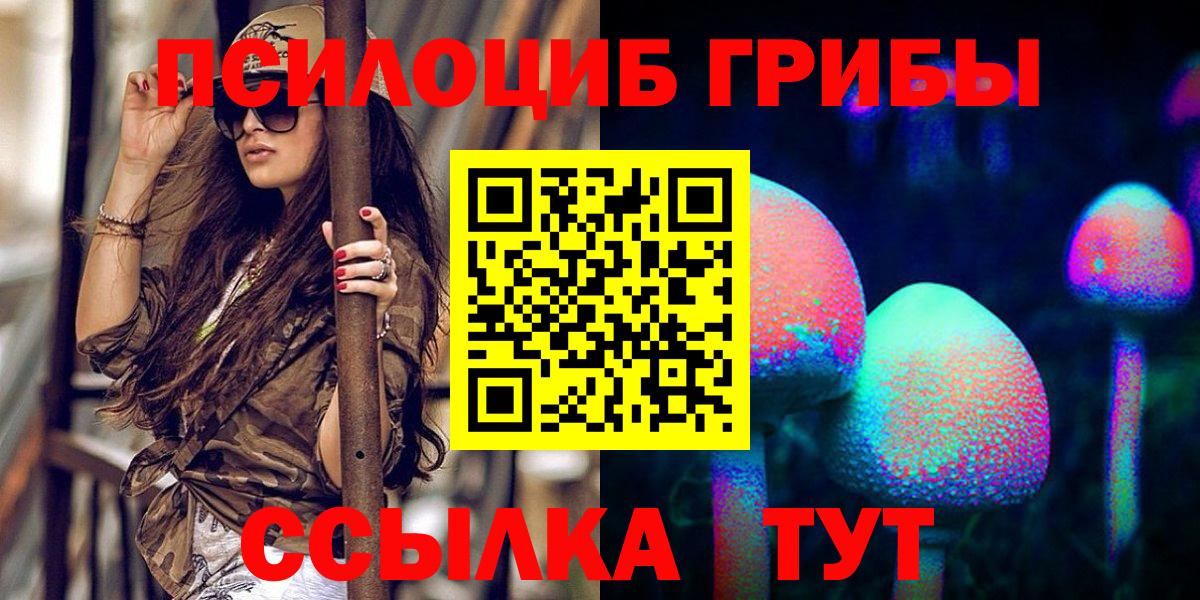 хочу наркоту  Псилоцибиновые грибы MAGIC MUSHROOMS  Вход с VPN  Люберцы 